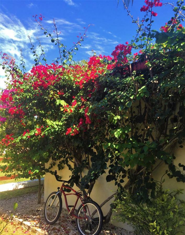 Royale Manor Villa Corozal Bagian luar foto